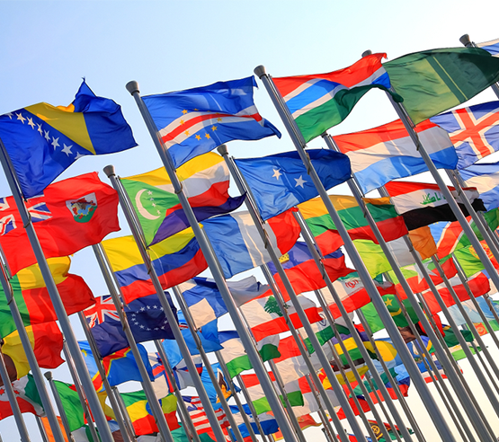 EU and Commonwealth Immigration Services