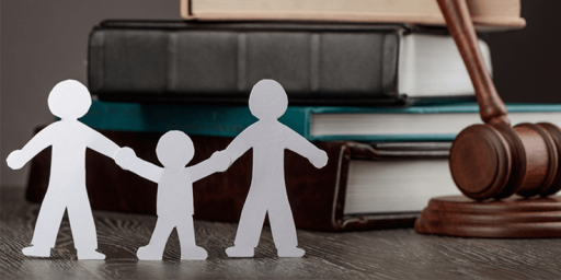 Family Case Summaries