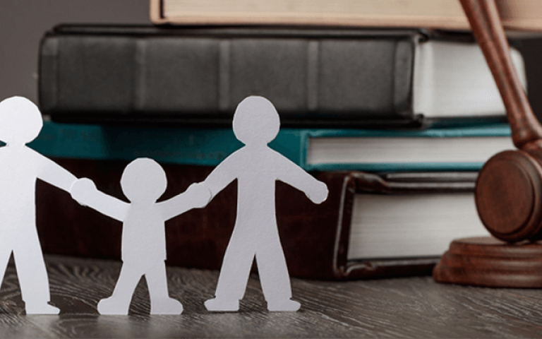 Family Case Summaries